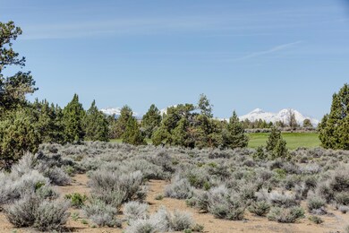 2019_05_02_pronghorn_lot_25-3