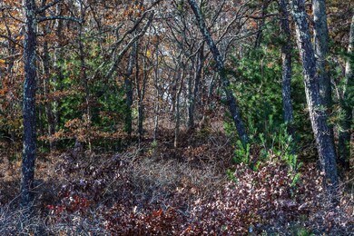 206 Hayway Rd, East Falmouth, MA 2536 - photo 2