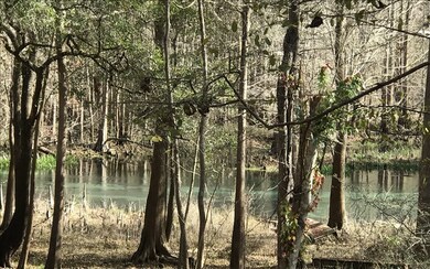 27604 23rd Place, Branford, FL 32008 - photo 2