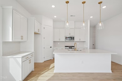 118 N Harvest Ridge Way unit Homesite 313, Smithfield, NC 27577 - photo 6