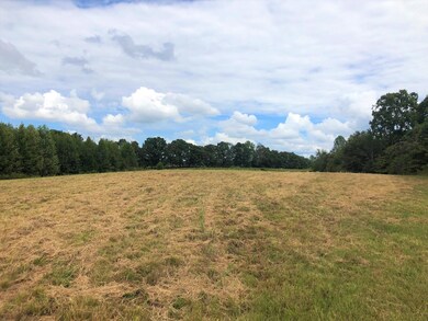 0 Salem Minor Hill Rd unit 1966616, Minor Hill, TN 38473 - photo 3