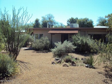 Lushly Vegetated front yard