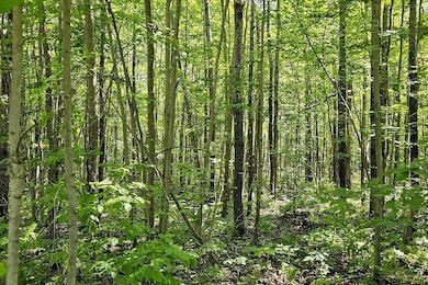 Lot 1 Cth C, Couderay, WI 54835 - photo 4