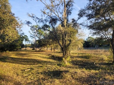 0 Octavia Ln unit 850173, Webster, FL 33597 - photo 4