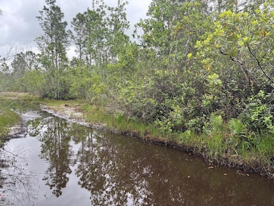 0 Holopaw Groves Rd unit F10536895, Saint Cloud, FL 34772 - photo 2