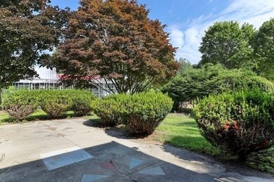 19 Norton St, Hyde Park, MA 02136 - photo 2