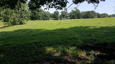 3255 Welsh Run Rd, Ruckersville, VA 22968 - photo 7