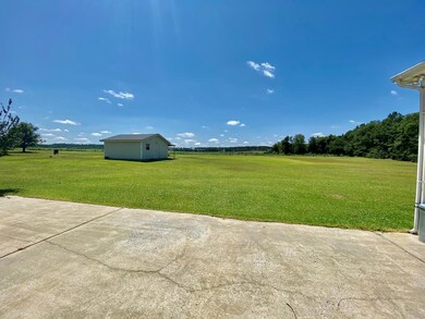 677 Blackberry Rd, Baconton, GA 31716 - photo 7