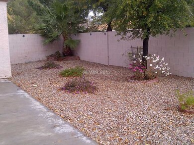 Other. Backyard
