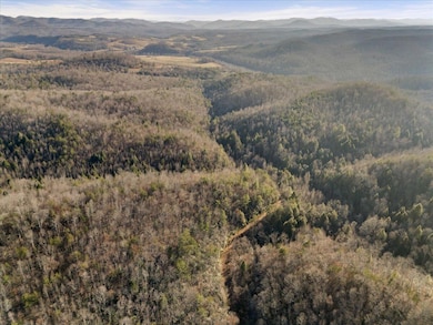 3550 River Rd, Williamsburg, KY 40769 - photo 2