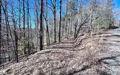 Additional View