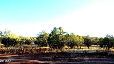 1667 Yukon Dr E unit 22, Ash Fork, AZ 86320 - photo 4