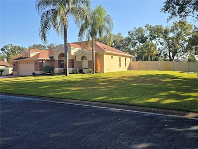 1030 Rowland Pickert Ln, Lutz, FL 33548 - photo 4