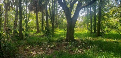 5805 Palm River Rd, Tampa, FL 33619 - photo 2