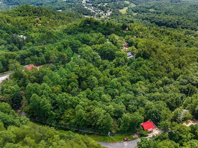 1005 Laurel Rd, Townsend, TN 37882 - photo 5