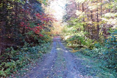 3801 Us Route 5, Sutton, VT 05867 - photo 7