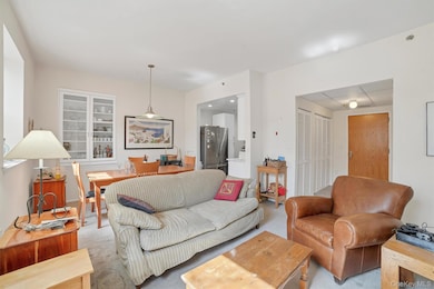 The Hill Condominiums unit A1-5, White Plains, NY 10606 - photo 6