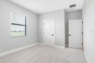 13494 Lake Gallagher Dr, Dover, FL 33527 - photo 7