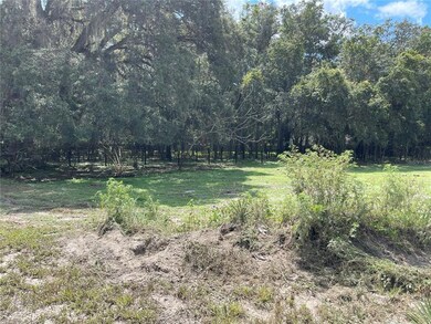 0 Drum Rd, Zephyrhills, FL 33541 - photo 4