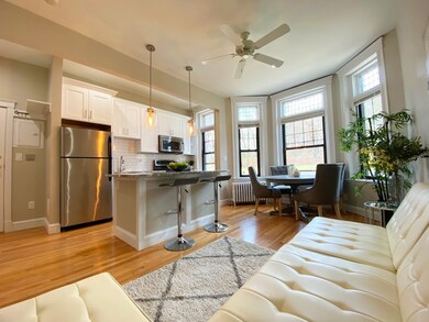 324 Chestnut Hill Ave unit 1, Brighton, MA 02135 - photo 4