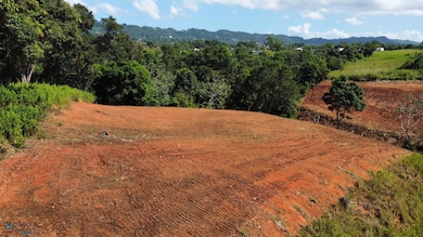 X Calle Los Cipreses Bo Pueblo Moca P R, Moca, PR 00676 - photo 5