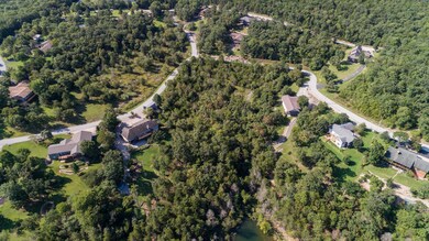 Lots 1 & 4 Reflection Ridge, Alpine Township, MO 65747 - photo 6