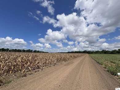 0 State Route 573 unit 80+-acres, St. Joseph, LA 71633 - photo 6