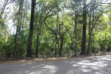 TBD N Cass St, Jefferson, TX 75657 - photo 4
