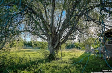 000 County Line Rd # 120, Beeville, TX 78102 - photo 3