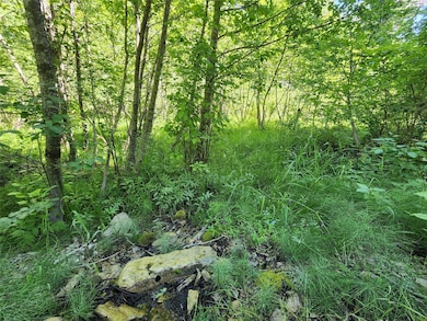 Nhn Silver Butte Rd, Libby, MT 59923 - photo 2