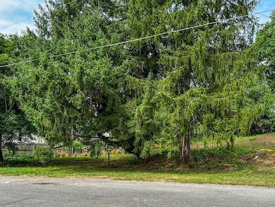 1605 Pawnee Blvd, Akron, OH 44312 - photo 3