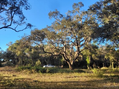 0 Octavia Ln unit 850173, Webster, FL 33597 - photo 7