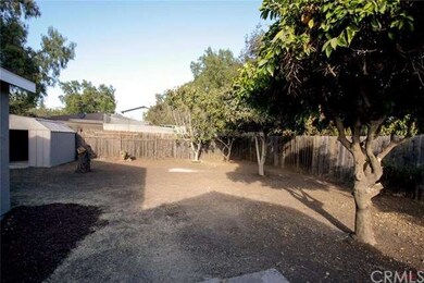 Large backyard with fruit trees.