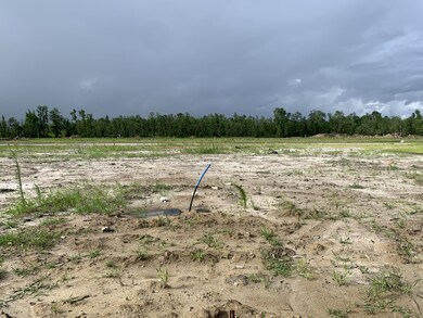 1006 Flounder Run, New Bern, NC 28562 - photo 4