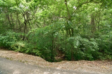 23472 Elm Lane