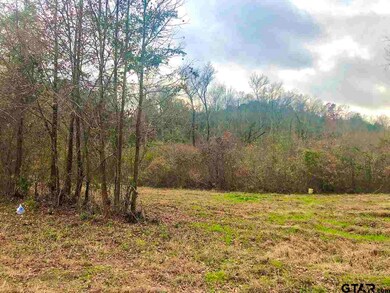 0000 County Road 21, Tyler, TX 75707 - photo 5