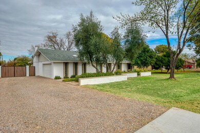 mesquite_02[1]