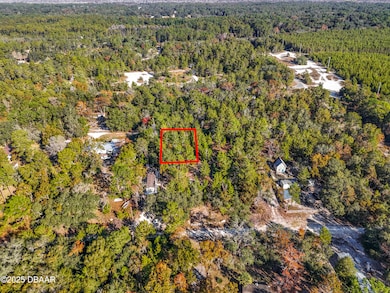 109 Lucas St, Satsuma, FL 32189 - photo 3