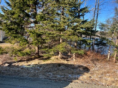 IMG_6775 Water front portion of property