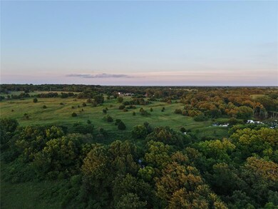 Aerial view at dusk of a wooded view