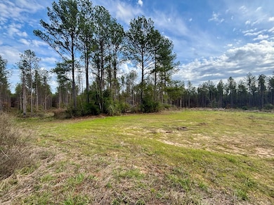 tbd Wall St, Osyka, MS 39657 - photo 7