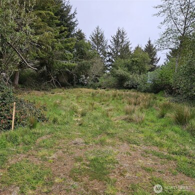 382 Cygnus Ave SW, Ocean Shores, WA 98569 - photo 5