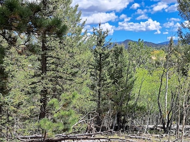 6452 Remington Rd, Como, CO 80456 - photo 4