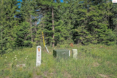 Lot 10 E Riley Loop, Athol, ID 83801 - photo 2