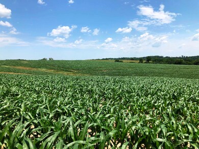 98.33 acres Pikes Peak Rd, Lancaster, WI 53813 - photo 4
