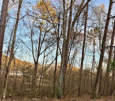 0 Old Furnace Rd, Boiling Springs, SC 29316 - photo 3