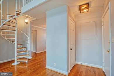 4607 36th St S unit B1, Arlington, VA 22206 - photo 3