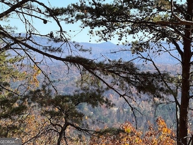 0 John Call Rd unit 10646302, Talking Rock, GA 30175 - photo 3