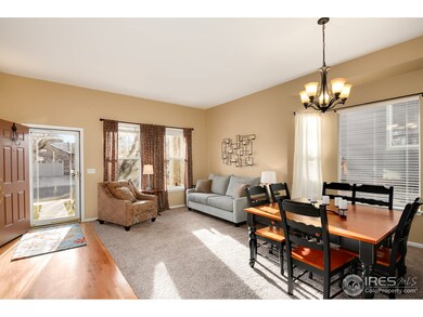 13883 Fillmore St, Thornton, CO 80602 - photo 5