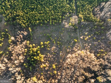 0 Thomas Rd unit 10647908, Millen, GA 30442 - photo 5